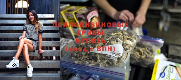 прущие крисы Арсеньев