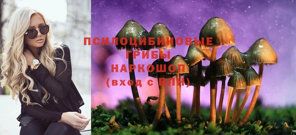 стафф Армянск