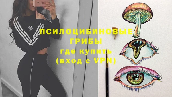 тгк Балабаново