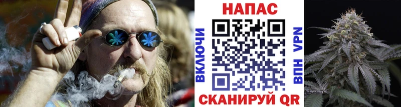OMG ТОР  Таруса  Шишки марихуана планчик 